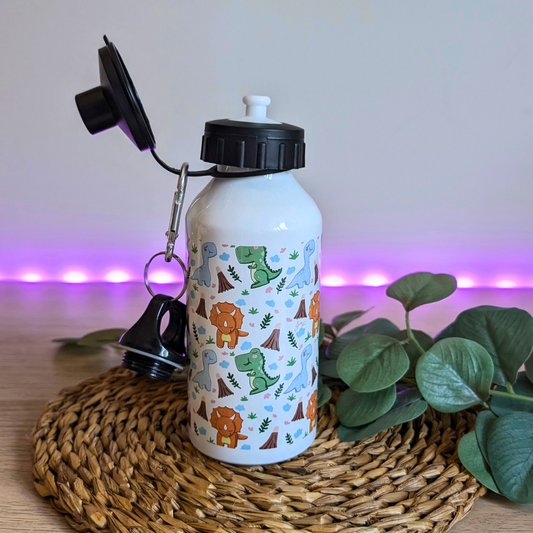 Botella  Dinosaurios