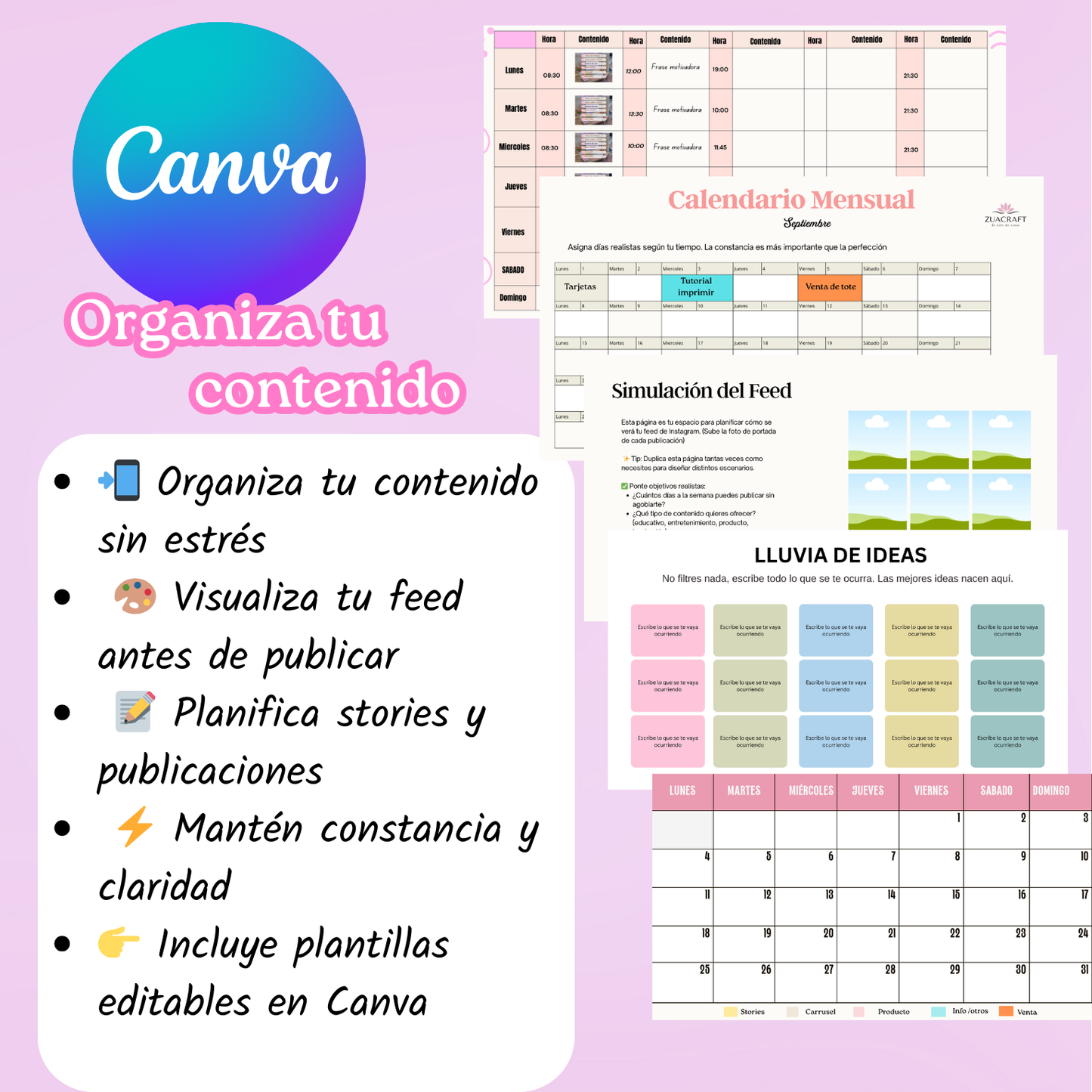Bundle Creativo: Organización de contenido + Tarjetas